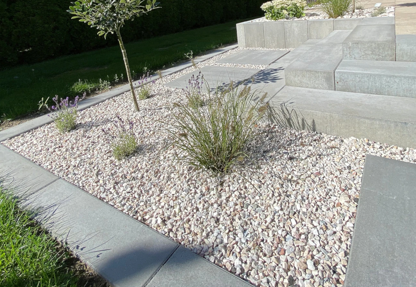 Grys Janowicki | Lastryko